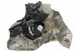 Black Tourmaline (Schorl) Crystal and Smoky Quartz - Namibia #132179-1